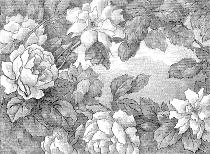 Papier Peint Panoramique Gravure - Roses d'antan